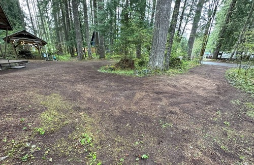 Packwood House | Private RV parking at the base of Mt. Rainier. Have the forest to yourself!