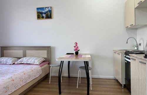 Borovoe Apartment | Promenade Burabay 2