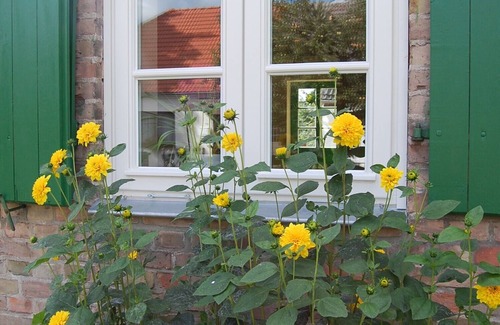 Schmatzin Apartment | Protected house with large garden for 2-3 or 4-6 guests on request