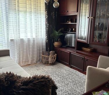 Ostrowiec Swietokrzyski Apartment | Przytulny Apartament