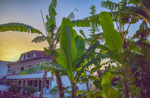 Northern Madeira Apartment | Paradise town with ocean pool, mountains, waterfalls, surfing, shops and bars.