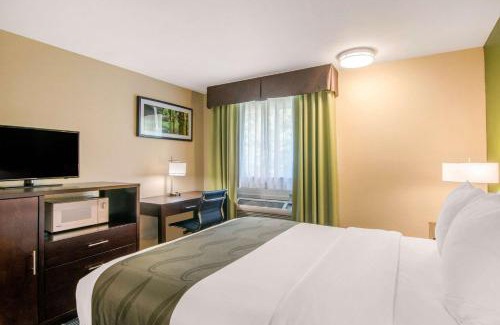 Albany Hotel | Quality Inn & Suites Albany Corvallis