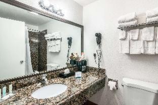 Oleander - Sunset Hotel | Quality Inn & Suites near Downtown Bakersfield