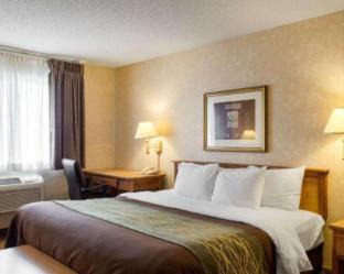 Brandon Hotel | Quality Inn