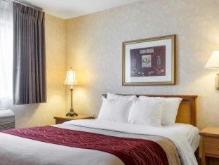 Brandon Hotel | Quality Inn