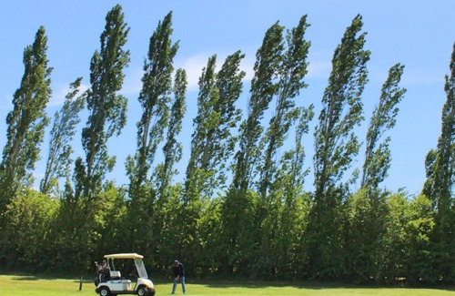 Hagley Bed & Breakfast | Quamby Estate