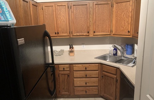 Near Southside Apartment | Quant Apt in the ❤️ Of historic St. Louis Soulard