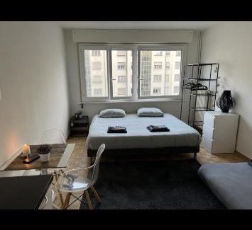Downtown Geneva Apartment | Quenn Bee studio