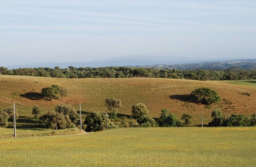 Troviscais Cottage | Quiet and cottage in the estate Casas da Cerca, near Troviscais