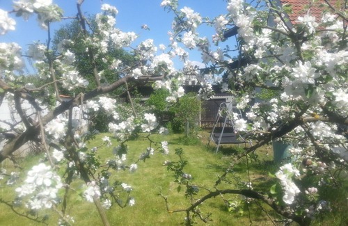 Celle Apartment | Quiet, comfortable in the countryside, sporting and cultural destinations, INTRODUCTION