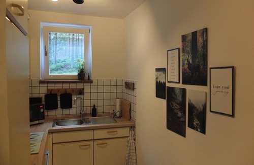 Bad Laasphe Apartment | Quiet vacation apartment (50m2) with distant view