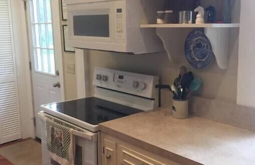 Pitts House | Quiet Wilcox County Retreat-Long Leaf Pine Lodge