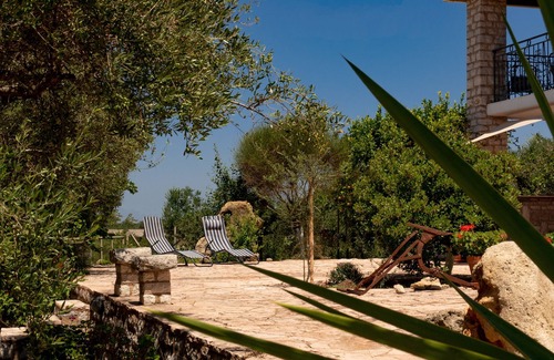Skafidia Apartment | Quietly located in the olive grove, close to the sea and only 32 km from Olympia.