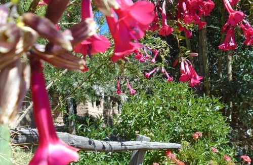 Capachica House | Quillapata Lodge