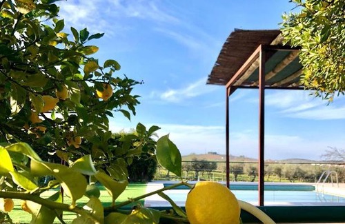 Borba House | Quinta da Trombeta