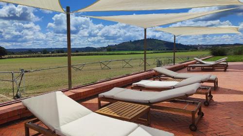 Alferrarede House | Quinta das Arribas