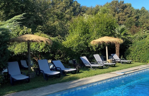 Vila Cha do Marao House | QUINTA DE RIBAS - LES OLIVIERS - QUIET GITE SURROUNDED BY GREENERY