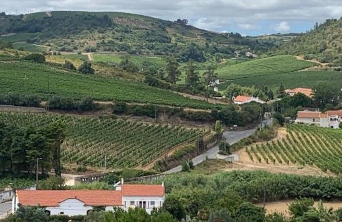 Alenquer House | Quinta Ribeira do Labrador - Lisbon West Wine Route