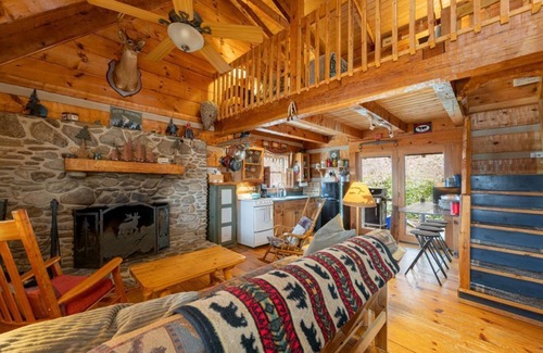 Weaverville Cabin | Quintessential Private Log Cabin with Brand New Hot Tub