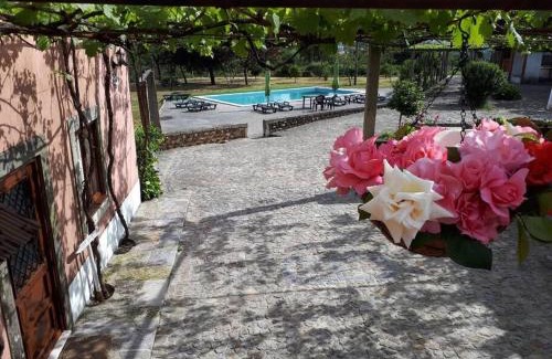 Oliveira De Azemeis House | Quintinha de Santiago