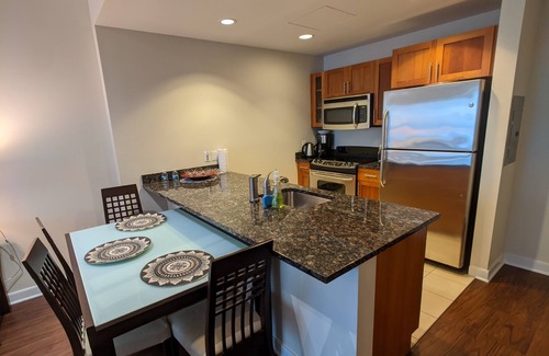 West End Apartment | Quite 1 Bd Apt nearby MGH,MIT,Harvard W/D In Suite