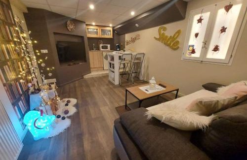 Geispolsheim Apartment | Résidence "Au Charron de Geis'pitz" en sous sol