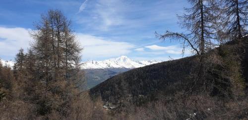 Plagne 1800 Apartment | Résidence Plagne Lauze - maeva Home - Studio 4 Personnes - Sélection MAE-3554