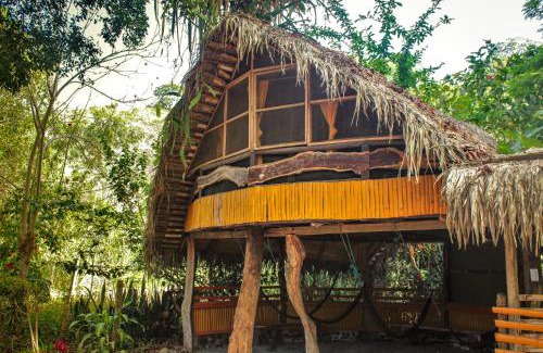 Canoa Cabin | Río Muchacho Organic Farm