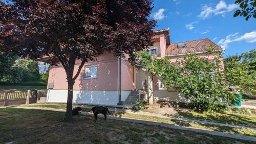 Nagykanizsa Apartment | Rózsa apartman