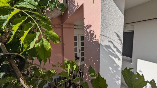 Nagykanizsa Apartment | Rózsa apartman