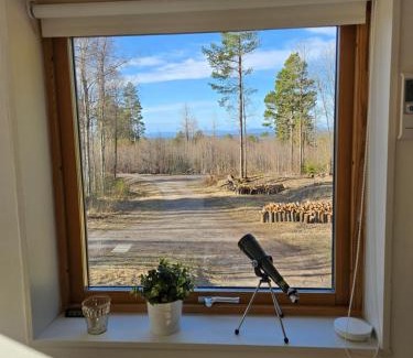 Vikarbyn House | Röjeråsen stugan