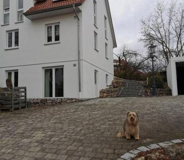 Nittendorf Apartment | [R]Auszeit