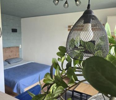 Panevezys Apartment | R&J Apartment II