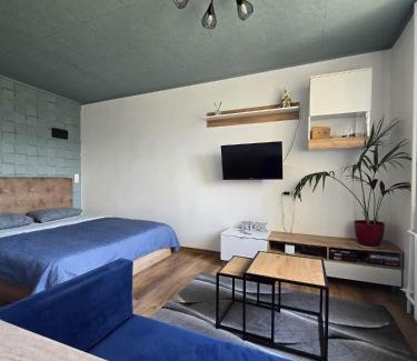 Panevezys Apartment | R&J Apartment II