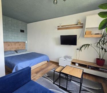 Panevezys Apartment | R&J Apartment II