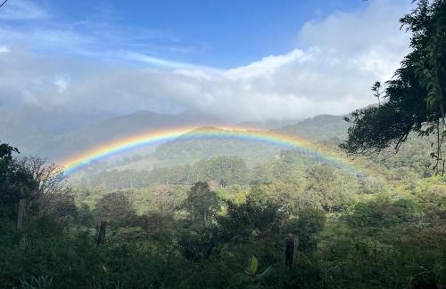 Los Naranjos House | Rainbow Iris