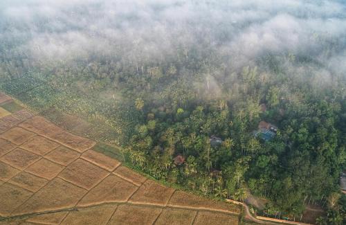 Sulthan Bathery Resort | Raindrops Resorts Wayanad