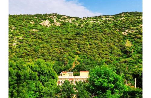 Samode Bed & Breakfast | Raj Haveli- A Heritage Samode