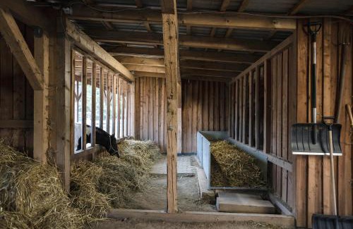 Elterlein House | Ranchhouse Bubble - Westernstable - Horse