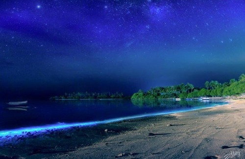 Guraidhoo House | Rangali Etos Guraidhoo