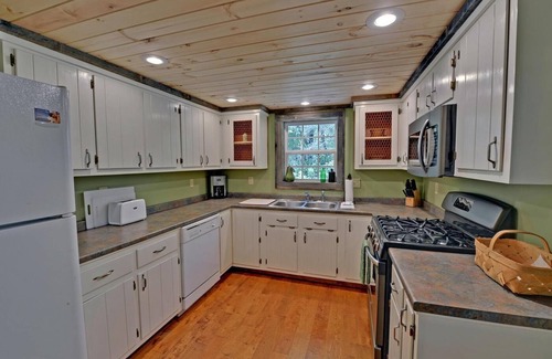 Blue Ridge Cabin | Rare Pristine Waterfront Hot Tub Dog Friendly 9mi 2BR