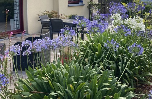 Plouneventer House | RECENT HOUSE 130 M2 WITH GARDEN NEAR LANDERNEAU 6 PERS.