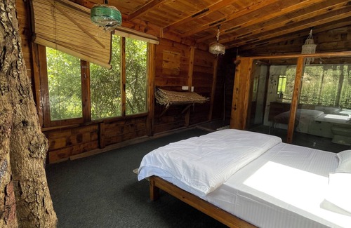Mukteshwar Cabin | Reconnect with nature, heal your mind, body, and soul.
