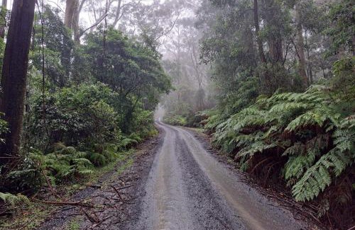 Browns Mountain House | Red Rocks Mountain Retreat, Browns Mountain, Kangaroo Valley