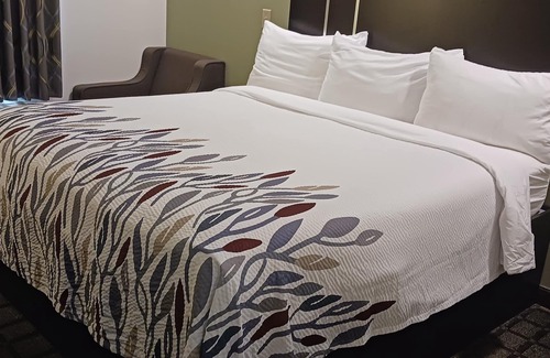 Broadmoor Hotel | Red Roof Inn Baton Rouge