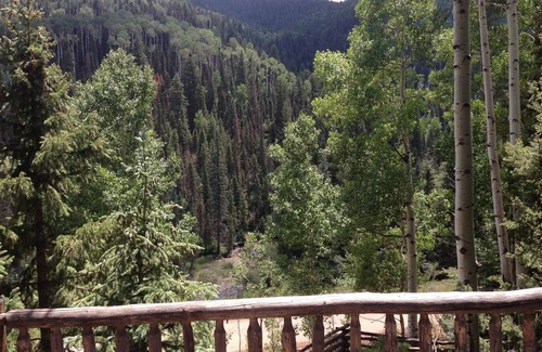 Dolores House | RedCliff Lodge w/hiking trails,specular fall colors, mtn views & great fishing!