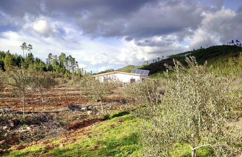 Proenca-a-Nova Cottage | Refúgio do Raposo - CASA da Ribeira (AGROTURISM)