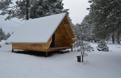 Pueblo Nuevo Cabin | Refugio en el bosque Parque La Pirámide