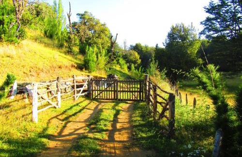 Curacautin House | Refugio Montaña Kultrun Mawida, Mini-Cabaña con baño y cocina privada