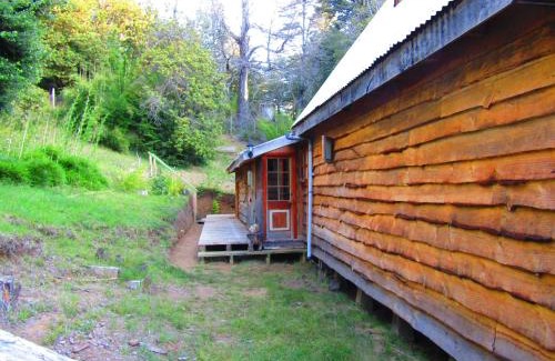 Curacautin House | Refugio Montaña Kultrun Mawida, Mini-Cabaña con baño y cocina privada